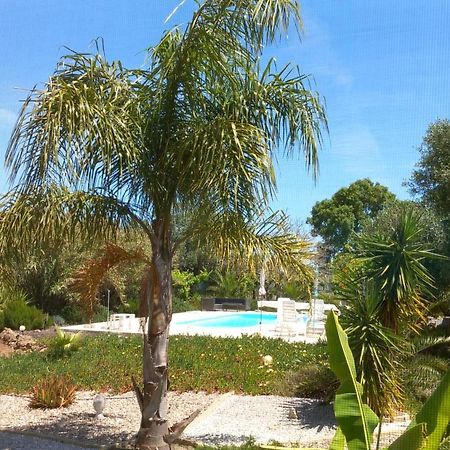 Quinta Laranjal Da Arrabida Bed and Breakfast Palmela Exteriör bild