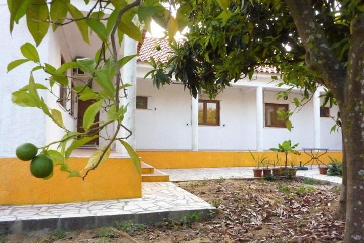 Quinta Laranjal Da Arrabida Bed and Breakfast Palmela Exteriör bild