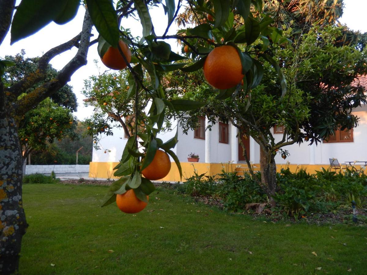 Quinta Laranjal Da Arrabida Bed and Breakfast Palmela Exteriör bild
