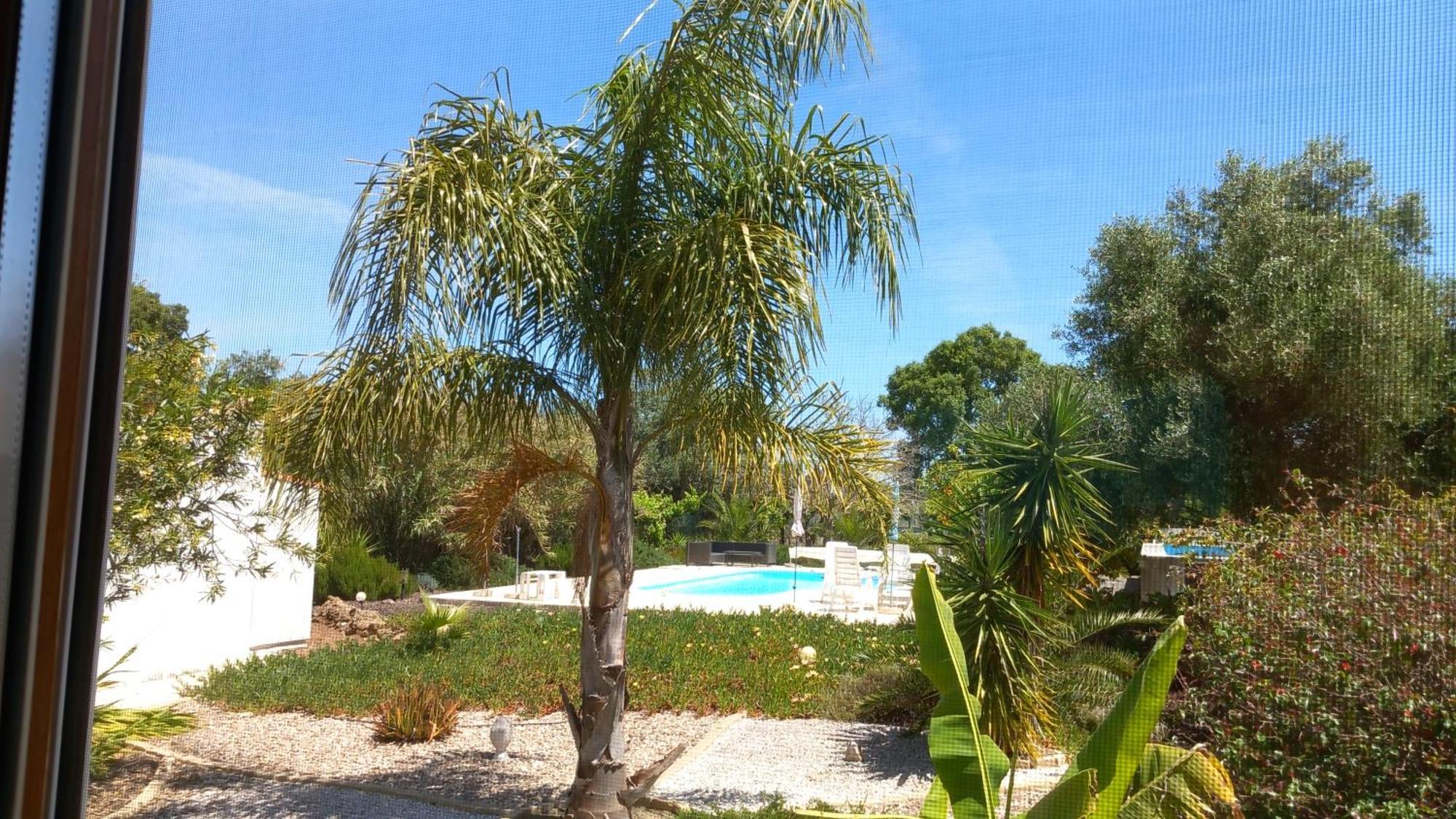 Quinta Laranjal Da Arrabida Bed and Breakfast Palmela Exteriör bild
